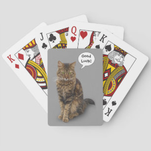Baralho Gato