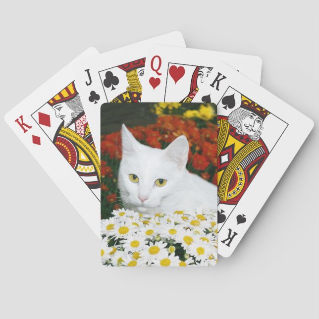 Baralho Gato branco nas flores do outono (Verso)