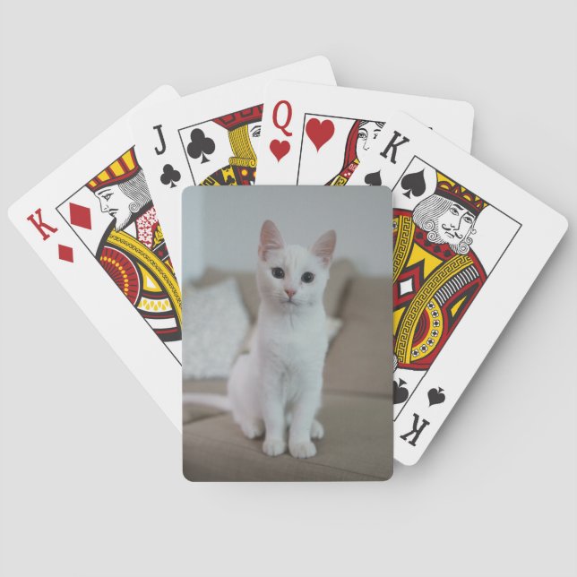 Baralho Gato branco | Zazzle_Growth. (Verso)