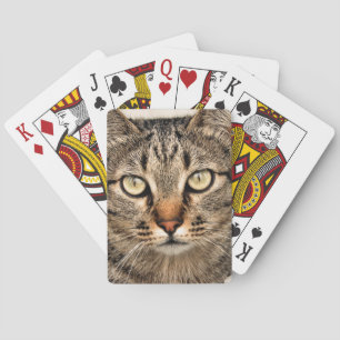Baralho Gato de gato malhado