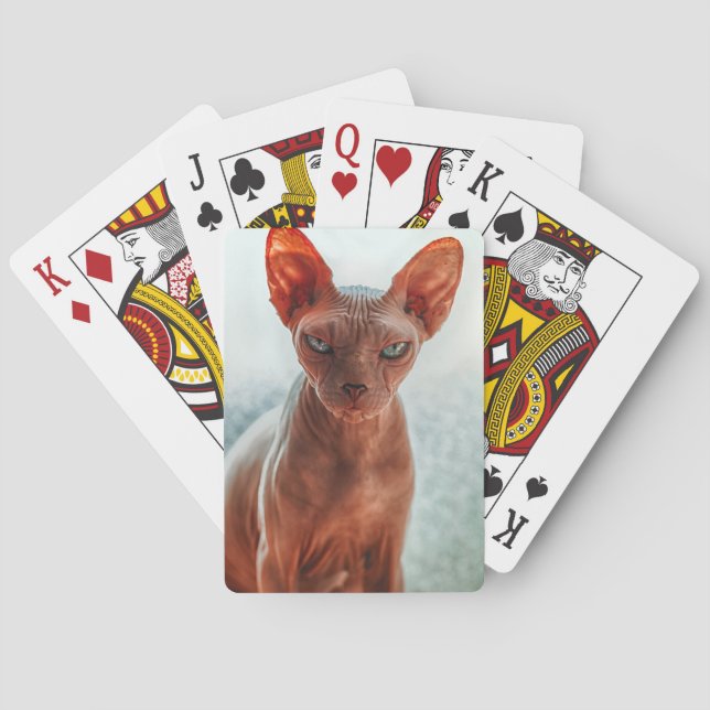 Baralho Gato De Sphynx Sem Cabelo (Verso)