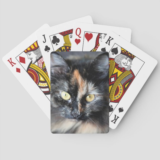 Baralho Gato Siberiano (Verso)