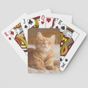 Baralho Gato sonolento das imagens   de Getty