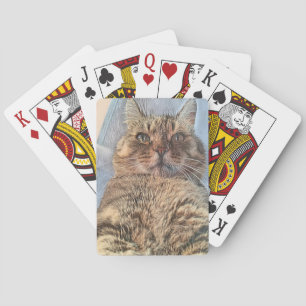 Baralho Gato Tigre Majestoso 