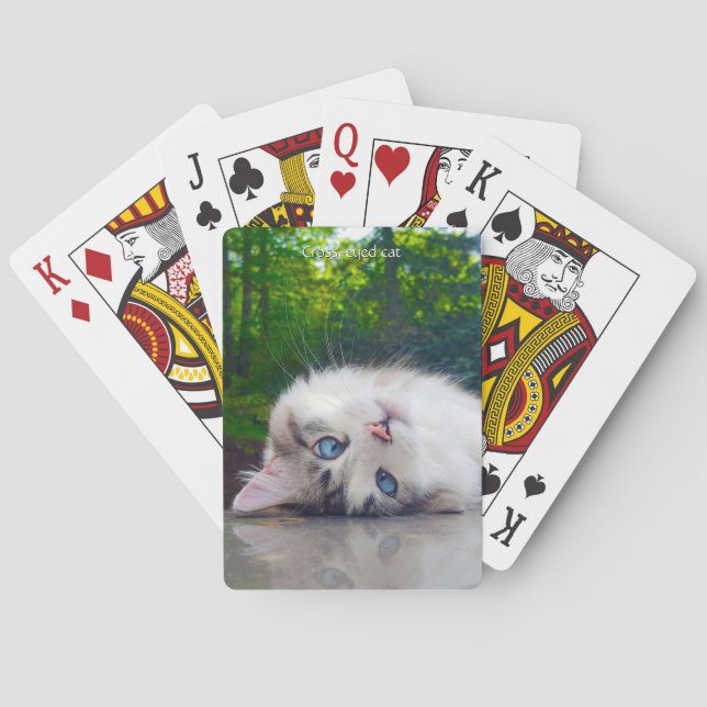 Baralho Gato vesgo (Verso)