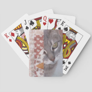 Baralho Gatos do Meow 13 cartões de jogo
