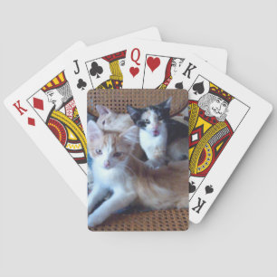 Baralho Gatos do Meow 21 cartões de jogo