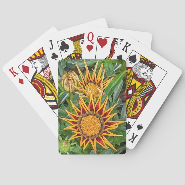 Baralho Gazania Flower Playing Cards (Verso)