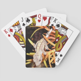 Baralho Geco com crista do bebê