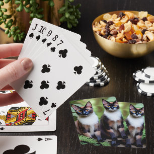 Baralho Gêmeos De Gatos Siameses, Pão De Cartões De Brinca
