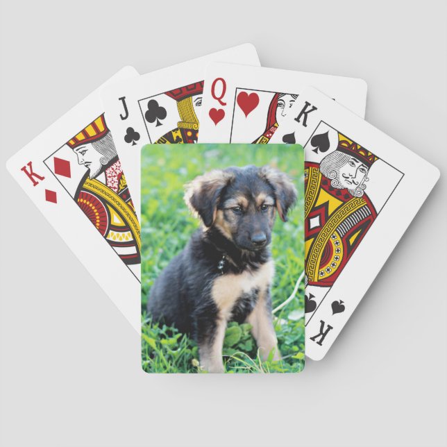 Baralho German shepherd (Verso)