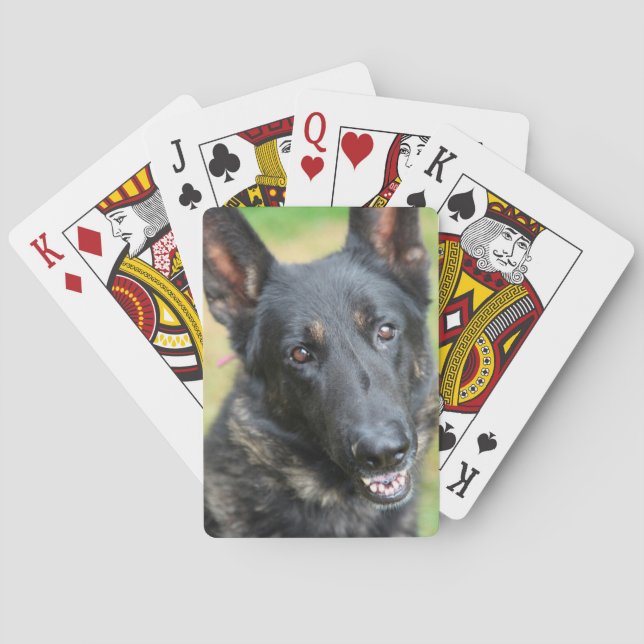 Baralho German shepherd (Verso)