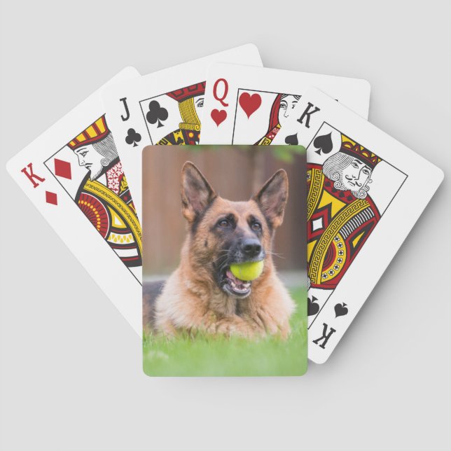 Baralho German shepherd Com Bola De Tênis (Verso)