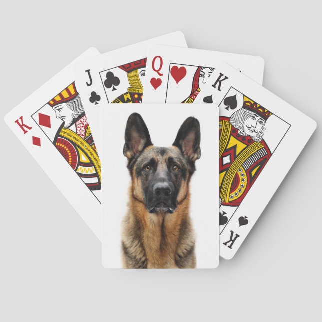 Baralho German shepherd Sentado (Verso)