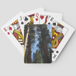 Baralho Giant Sequoia