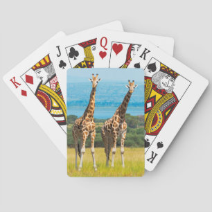 Baralho Girafas na Savana, Uganda