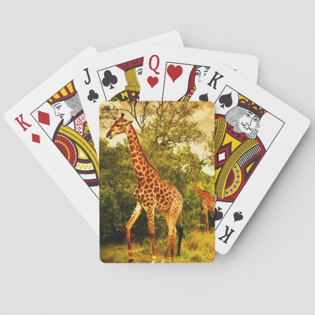Baralho Girafas sul-africanas (Verso)