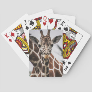 Baralho Giraffe cabeça Giraffe pelo animal impressão afric