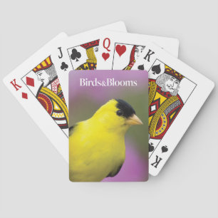 Baralho Goldfinch
