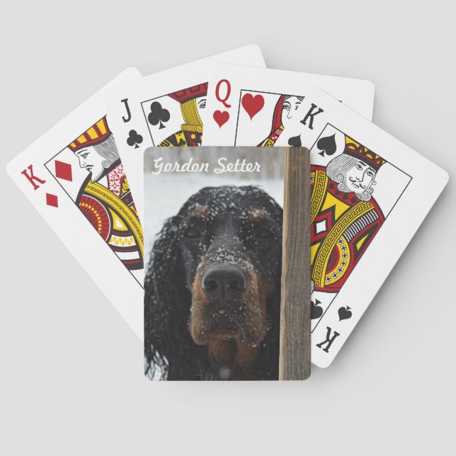 Baralho Gordon Setter em Placas de Reprodução de Inverno (Verso)
