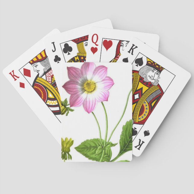 Baralho Grace (Verso)