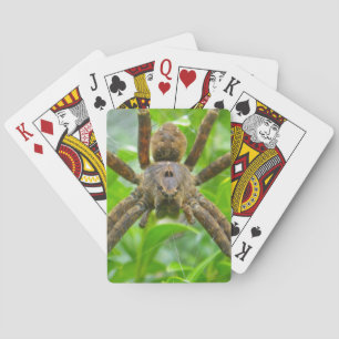 Baralho Grande Aranha Marrom