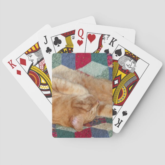 Baralho Guarda de Gatos (Verso)