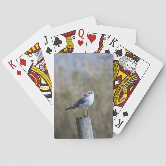 Baralho Gull no Posto (Verso)