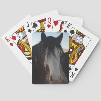 Baralho Hair in the Eyes Playing Cards