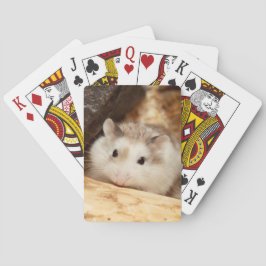 Baralho Hammyville - Hamster Bonito