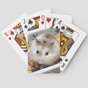 Baralho Hammyville - Hamster Bonito