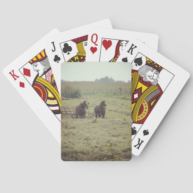 Baralho Hay Time (Verso)