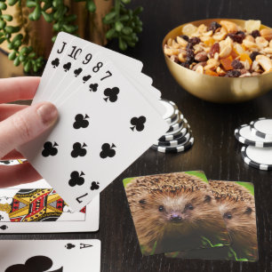 Baralho Hedgehog Explorar Curiosamente