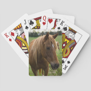 Baralho Horse Hello
