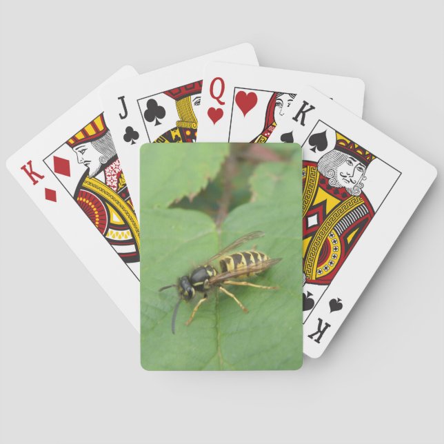 Baralho Hoverfly em cartas de jogar folha (Verso)