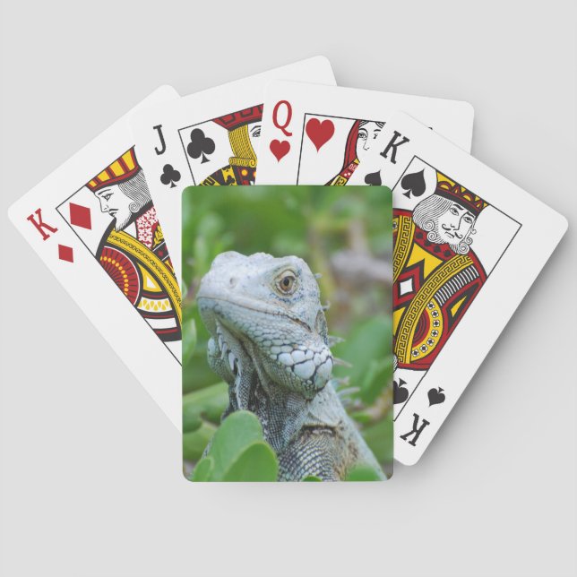 Baralho Iguana do peekaboo (Verso)