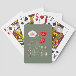 Baralho Ilustração Botânica Arte Floral.