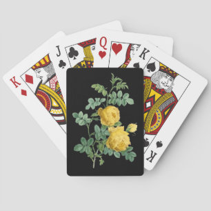 Baralho Ilustração botânica da rosa amarela