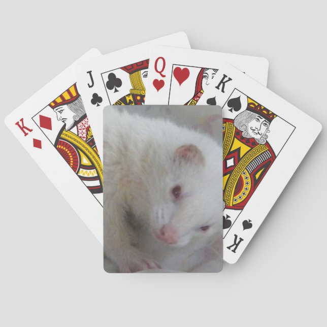 Baralho Imagem da doninha do albino (Verso)