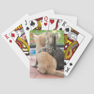 Baralho Imagens de Getty dois gatinhos em um balcão