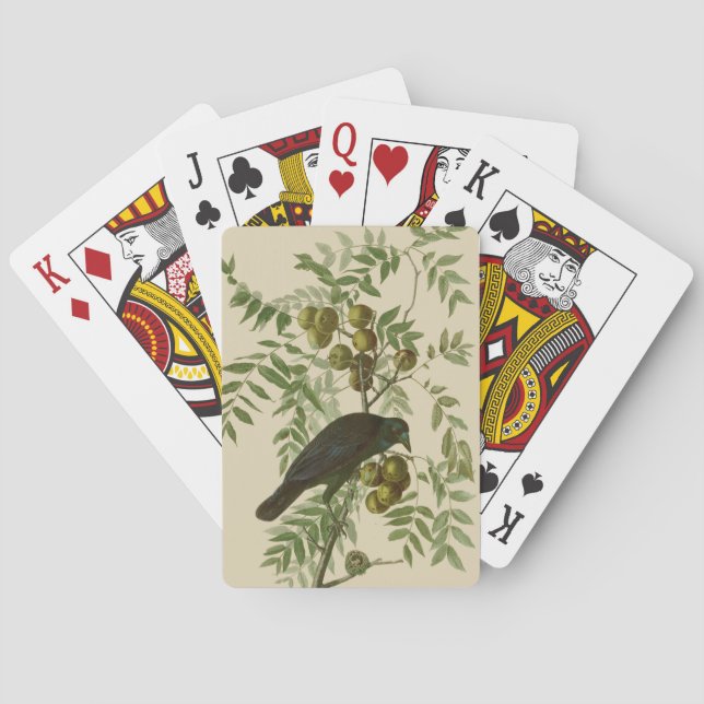 Baralho Impressão de pássaro rouxinol-púrpura de Audubon V (Verso)
