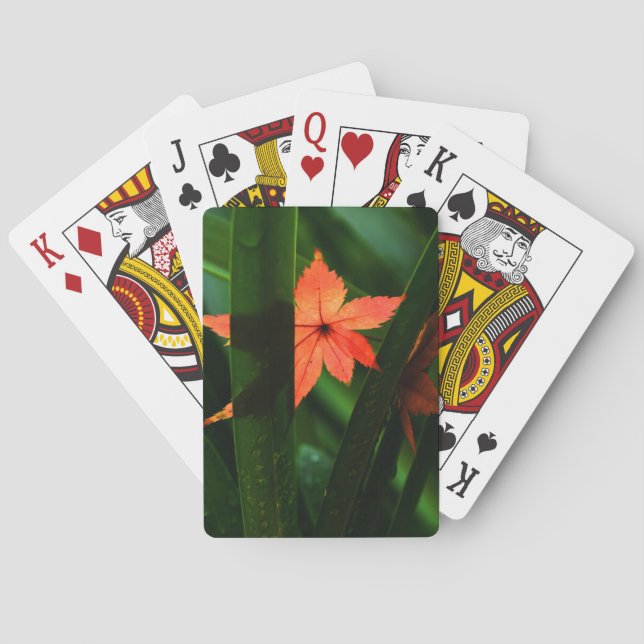 Baralho Japonês Maple Leaf (Verso)