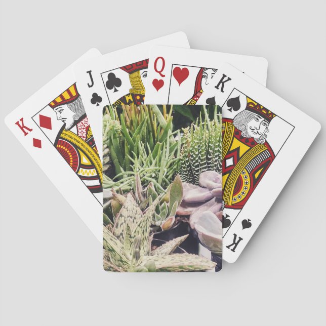 Baralho Jardim Cactus (Verso)