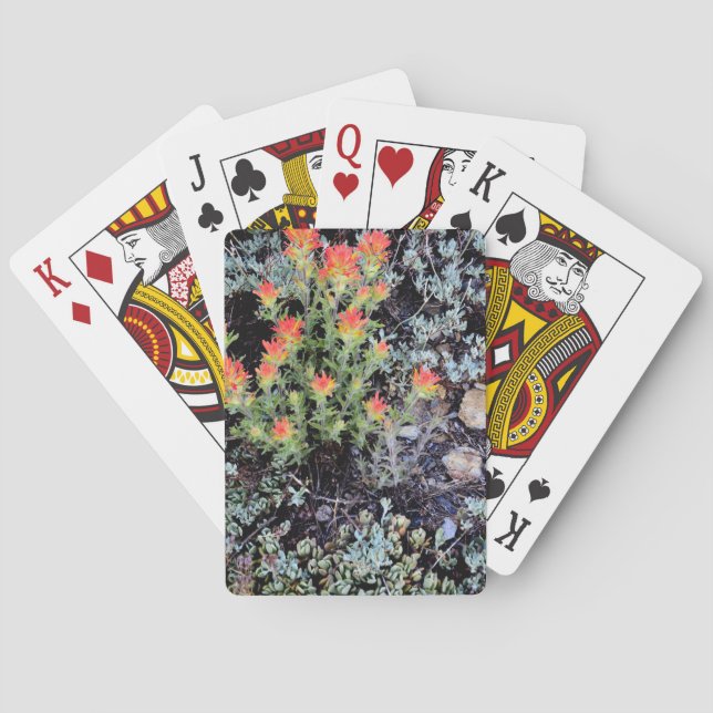 Baralho Jardim Miniatura no Lago Gem (Verso)