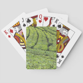 Baralho Jardins de chá de Munnar em cartas de pôquer