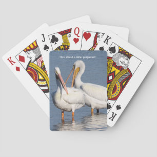 Baralho Jogando cartas com pelicanos brancos
