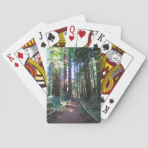 Jogando Cartões, Califórnia, Sequoia