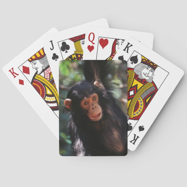 Baralho Jovem Chimpanzé (Verso)