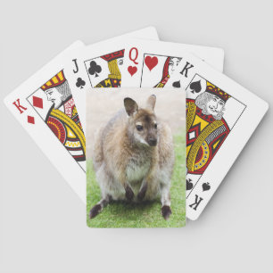 Baralho Kangaroo