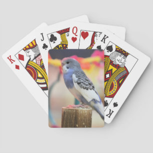 Baralho Keet
